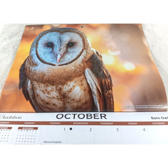 Audubon Society 2024 Wall Calendar 12 Months Protecting Birds and Nature - Picture 10 of 12